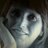 JudithvdHelm's profile image