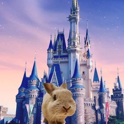 もふもふうさぎのディズニーチャンネル Youtube Usaginorindesu Twitter もふもふうさぎのディズニーチャンネル Youtube Usaginorindesu Twitter