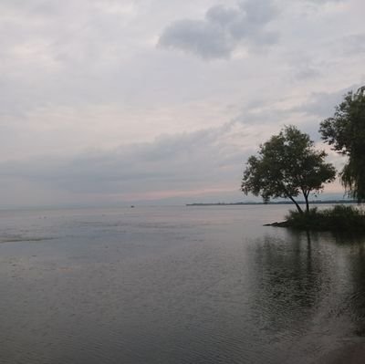 t600013's profile picture. 