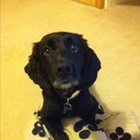 Sally Short - @sallyshort80 - Twitter