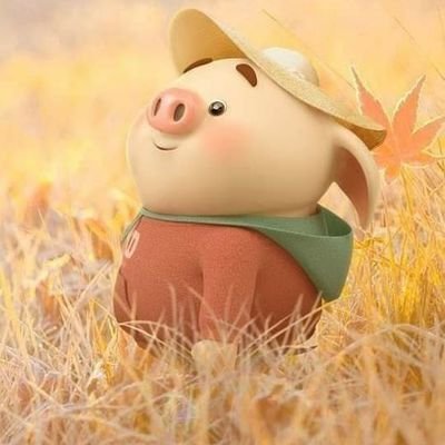 Davidke11371971's profile picture. Never Give Up