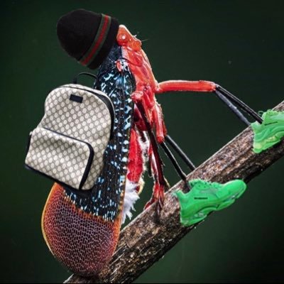 China 🇨🇳 to ✈️ Jersey #NJLanternFly #Bugslife Real niggas don’t die they multiply. I’m the flyest lantern fly on the planet; don’t make me jump on you 👿