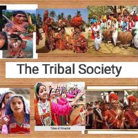 The Tribal Society(@tribalsociety0) 's Twitter Profileg