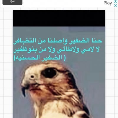 الصدق يبقى والتصنع جهاله والليف مالانت مطاويه بتفال