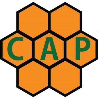 CAPLahore's profile picture. 