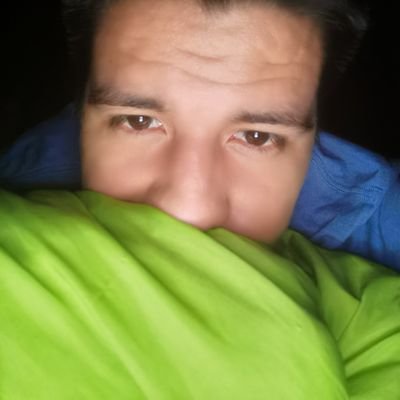 Diseñador Gráfico Publicitario