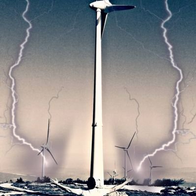 niketya1's profile picture. 