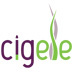 Cigele electronic cigarettes offer the best alternative to traditional tobacco cigarettes, giving the authentic sensation of smoking but without damaging you.