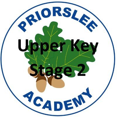 UKS2 Priorslee Academy