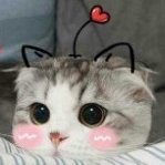 truimo's profile picture. 🐱 💫