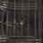 nilin1023's profile image
