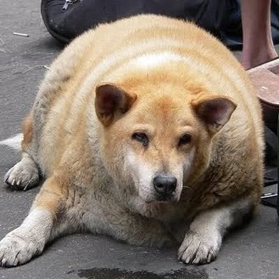 6uiRm0's profile picture. Hola