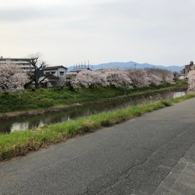 Department of Earth and Planetary Sciences, Graduate School of Science, Kyushu University, D3 , star formation, dust, magnetic field