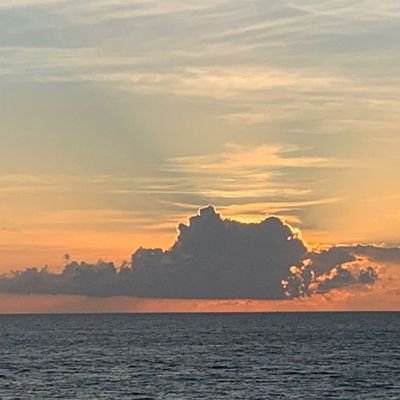 VivianneCandia's profile picture. 