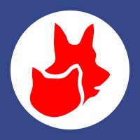 Stray Aid (@strayaiddogs) 's Twitter Profile