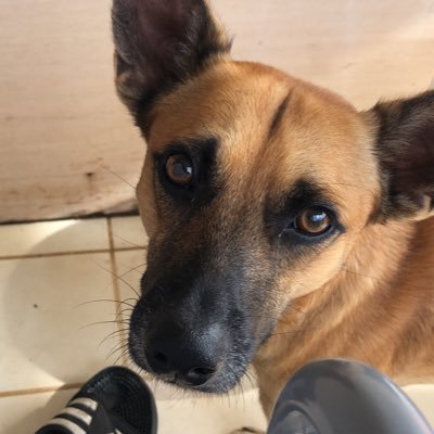 menace_268's profile picture. wa u a look fa? go suck ya mada