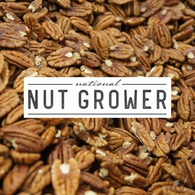 National Nut Grower is a new print and digital brand for readers in the the almond, pistachio, walnut, hazelnut and pecan markets.