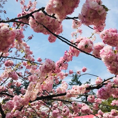 わらびもちさんのプロフィール画像