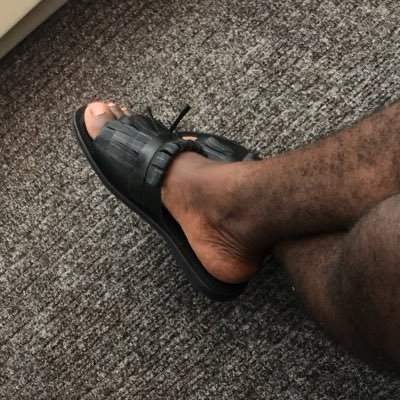 Quophib's profile picture. Timeless