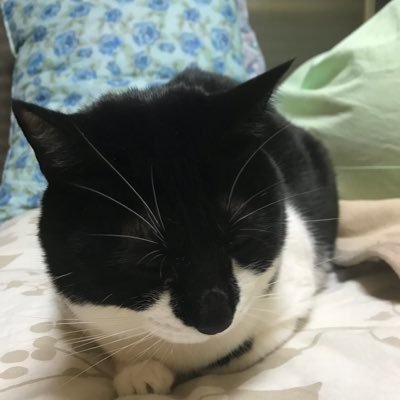 男です🐱ツイッター、始めました🐈池袋と大宮によく出没します。普通にエロいアラサーです💖適当に呟くけど叩かないでね(;ω;)💔ゲームとアニメがあれば生きていけるっ❗️音楽と猫様、大好き♬🐈あと難しい機能、分からない😂最近はロム専です💦スト6勢🥺
