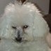 gloria glo (@gloglo602000) Twitter profile photo gloria glo (@gloglo602000) Twitter profile photo