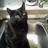Gill4589's profile image