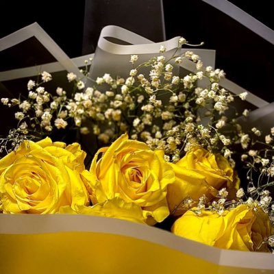 JoxOs9's profile picture. 