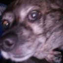 Conner Scott - @connerthescott - Twitter