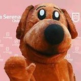 Cuenta de la mascota oficial del Centro de Tenencia Responsable del municipio de La Serena
