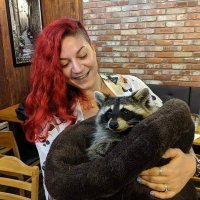 Anthi Gilligan 🇬🇷🇨🇮 (@angreagach) 's Twitter Profile Photo Anthi Gilligan 🇬🇷🇨🇮 (@angreagach) 's Twitter Profile Photo