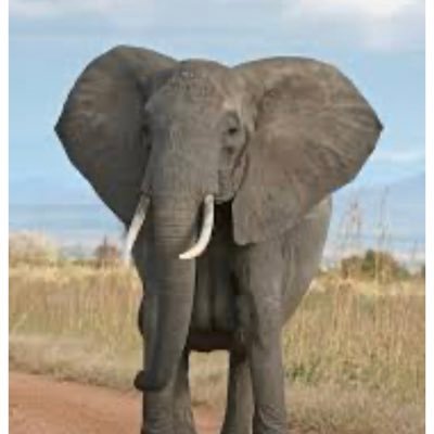 claire46493410's profile picture. 