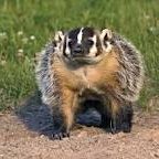 BassSlayer6's profile picture. Hacking for fun and profit