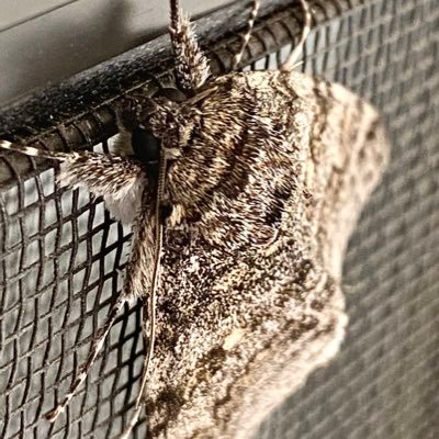 acreativetechie's profile picture. 