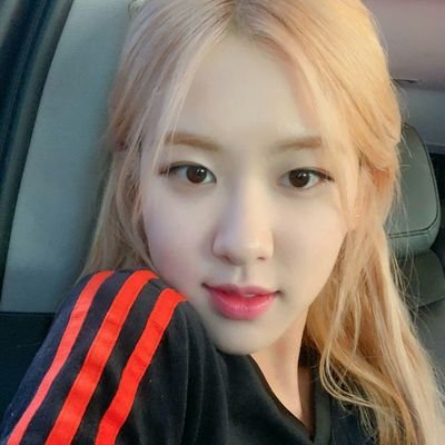 ⠀⠀⠀⠀〔𝐑𝐏〕𝟿𝟽 𓂅 ﹇ 𝗋𝗈𝗌𝖾𝖺𝗇𝗇𝖾. 로제; roses are red, violets are blue, rosé it's my pride. part of virägo and cutëness.