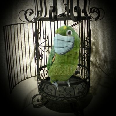 A Ficticious Parrot🦜that's into the Paranormal, is usually blamed for nightly bumps, creaks, noises & other unexplainable things that happen in our home.👻👀