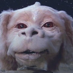 AndreaPerezBr's profile picture. Entre libros y mundos de ficción