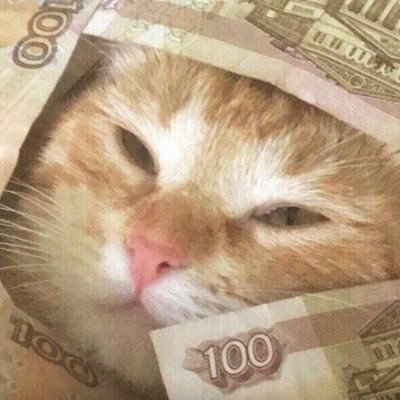 someprogrammer1's profile picture. Дилетант широкого профиля