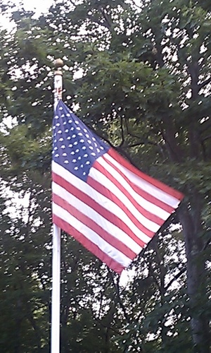 20Bark's profile picture. 