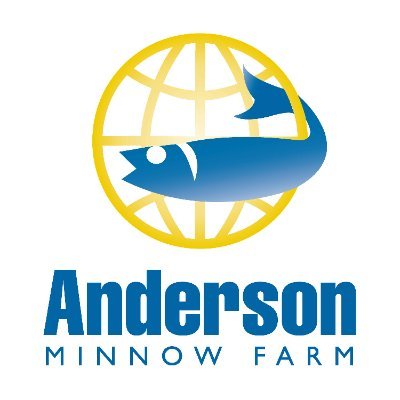 Live Minnows Shipped Direct To Your Door