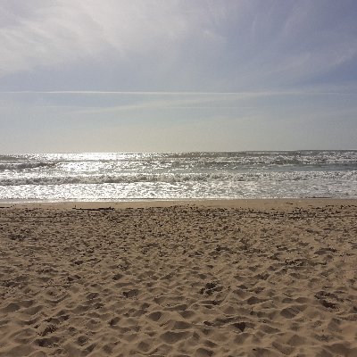 JeromeFeryn's profile picture. Fonctionnaire du ministère de l'environnement en colère