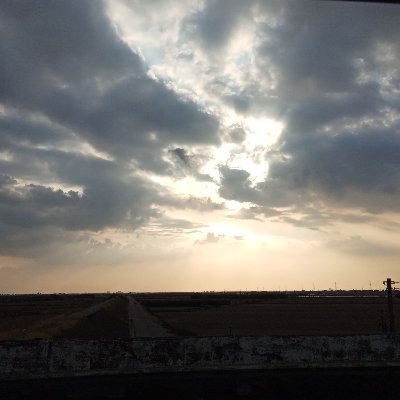 Amity16813915's profile picture. 嗑圖帳，低浮

偶爾發瘋（？