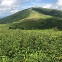 Wade Vann - @vann_wade - Twitter