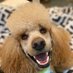Lila (@mommibeans) Twitter profile photo Lila (@mommibeans) Twitter profile photo