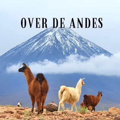 Over de Andes is de enige Nederlandstalige podcast over Latijns-Amerika. Door @remilehmann, @borisvanderspek, @jahootsen en @RubySanders020.