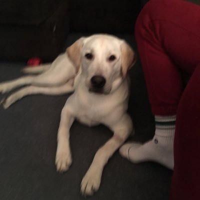 GrandmaKyKy's profile picture. 