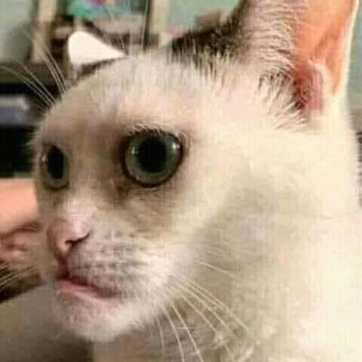 1231252a's profile picture. 