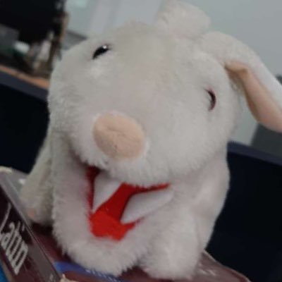 morfat69's profile picture. mr nibbles