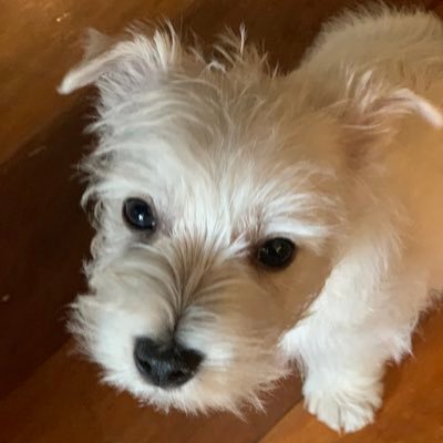 markylush's profile picture. “To make life a little better for people less fortunate than you. A meaningful life. One lives not just for oneself, but for one's community” - RBG Notorious