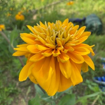 liuge1888's profile picture. 