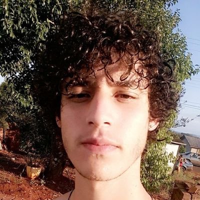 Rafadiemer's profile picture. Um Cabeludo
Colorado🇦🇹
e Apaixonado♥️